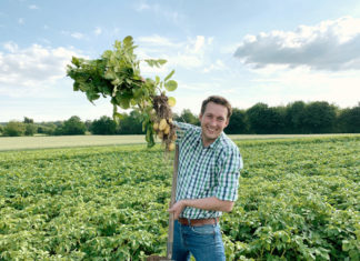 Ganzjähriger Geschmack