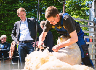 22. Gottorfer Landmarkt