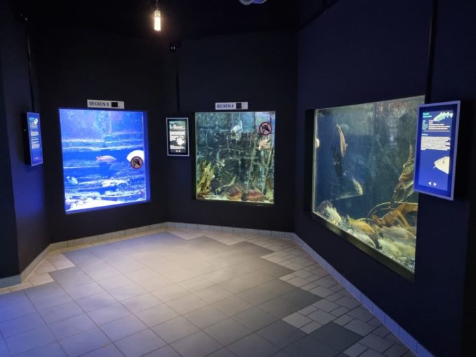 GeomarAquarium