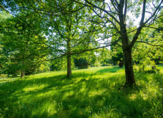 In der Ruhe spazieren