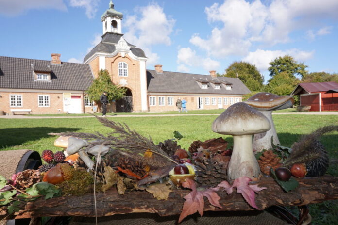 00_Herbstmarkt
