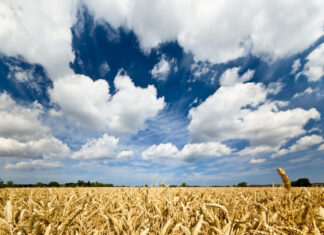 Wie fit ist die Landwirtschaft für die Zukunft?