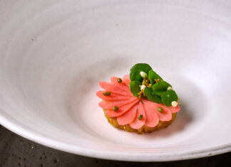 Viel Beifall für diesen eleganten Fisch