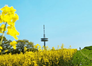 Herrliche Schönheit: Holsteinische Schweiz