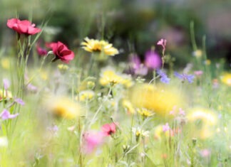 Ist das Wetter auf der Überholspur?