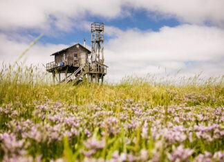 125 Jahre NABU – Hand in Hand gegen die Naturkrise