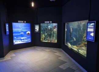 Eine bezaubernde Welt