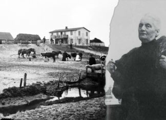 Diana: die „echte“ Gräfin von Südfall