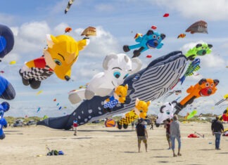 Faszination Drachenfliegen