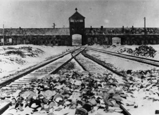 Nie wieder: 80 Jahre Befreiung des Konzentrationslagers Auschwitz