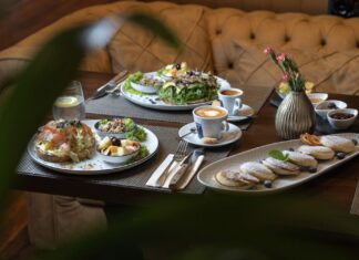 Pane Vino Kiel: Ein Hauch von Italien im hohen Norden Frische und authentische italienische Speisen werden im Pane Vino in Kiel aufgetischt.