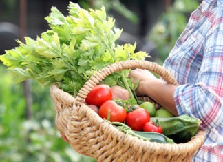 ESSPraxis: Ihr Weg zu einem gesunden Lebensstil in Kiel