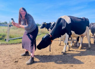 Live aus dem Kuhstall: Agrar-Influencerin Annemarie Paulsen im Gespräch