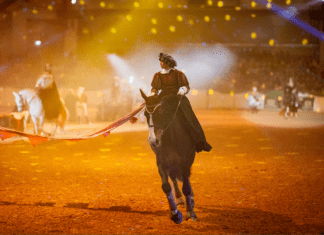 NORDPFERD 2025: Eleganz, Emotion und Freude am Pferd in Neumünster