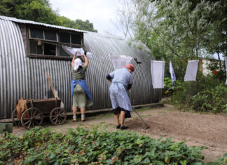 1945 – Sommer im Frieden