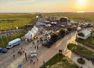 HÆDI – #17Ziele unplugged