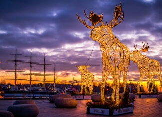 Zauberhafte Illumination im Fischereihafen Travemünde
