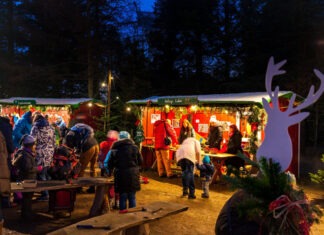 Advent im Grünen: Winterzauber im ErlebnisWald Trappenkamp