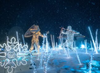 Zwischen Wildtieren und Lichterkunst