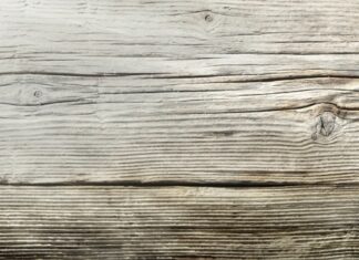 Blumiges Valentinsmenü bei Kerzenschein