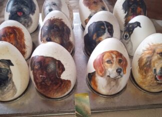 Kunst auf Eierschalen