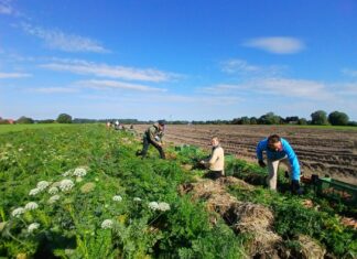 Gemeinsam. Gut. Versorgt.