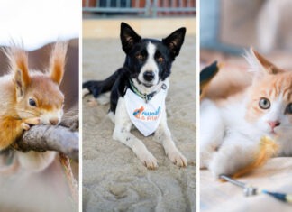 Das Messeformat für Groß und Klein