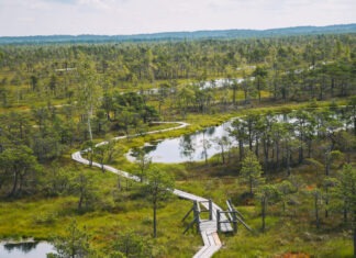 Mit dem Dachzelt durchs Baltikum