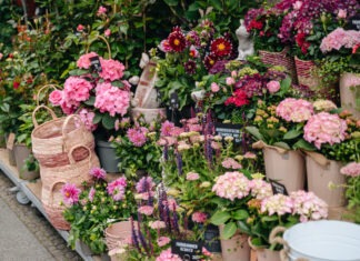 Saisonstart im Hedwig