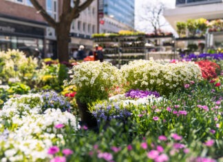 Fördestadt begrüßt den Frühling