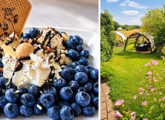 Beerenstarker Sommer