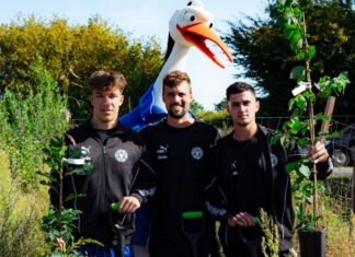 Klimapartner Holstein Kiel: Störche pflanzen neuen Willer.Wald in Hamdorf