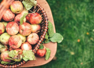 Startschuss für den Herbst