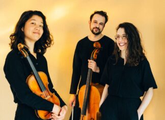 338. Plöner Schlosskonzert: AVIN TRIO