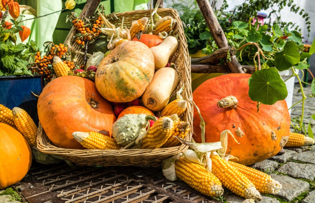 herbstliche Deko Wochenmarkt