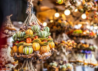 Herbst-Entdeckungstour