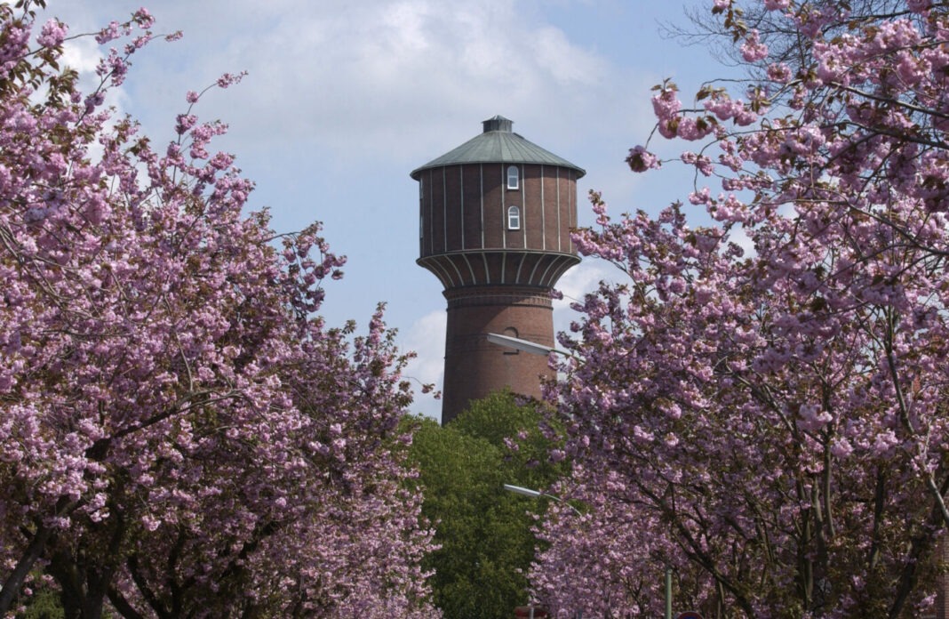 Elmshorner Nachrichten (pauschal) Voelz