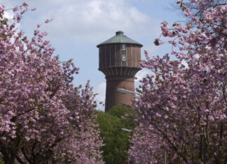 Ganz schön Elsmhorn – beliebte Adressen in Elmshorn