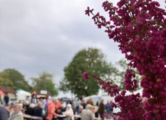 Bauernmarkt Brunsbüttel 2026: Kohltage direkt an der Schleuse