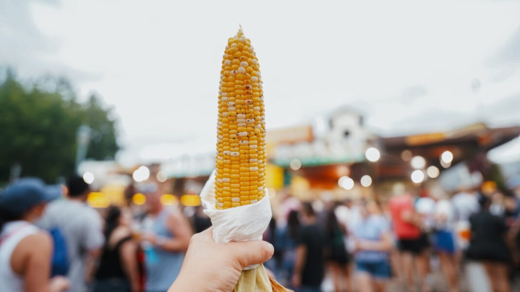 corn on the cob at the state fair