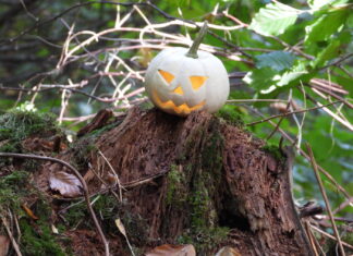 Halloween am Höltigbaum