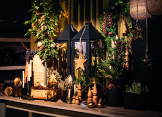 Advent, Natur & Freienwill